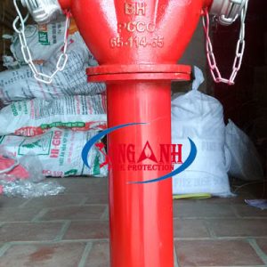 Trụ chữa cháy 2 cửa D65