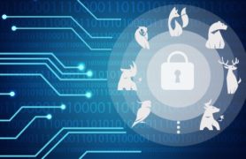 chính sách bảo mật pcccsonganh