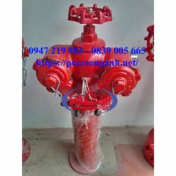 họng tiếp nước sqd100.16